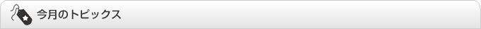 今月のトピックス